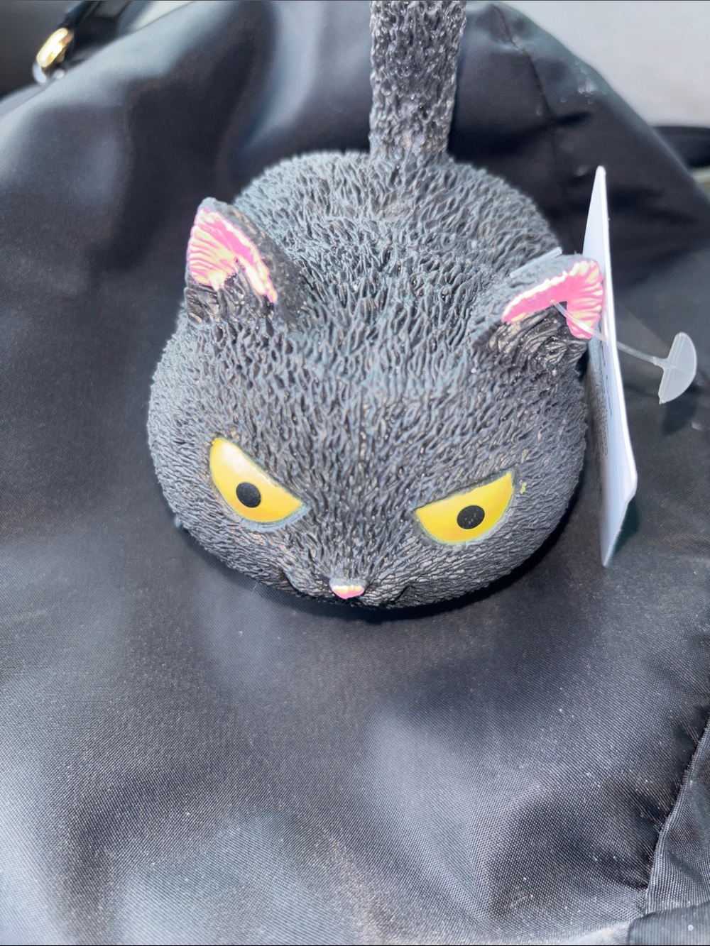 Squishy cat